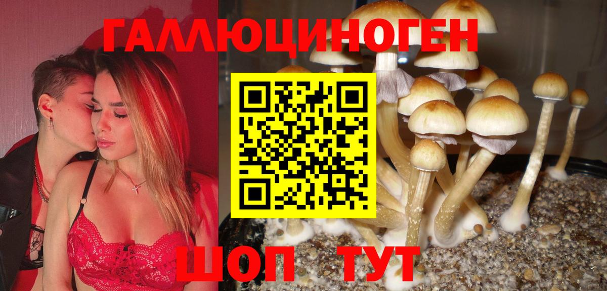 Галлюциногенные грибы MAGIC MUSHROOMS  Вход с VPN  Брянск 